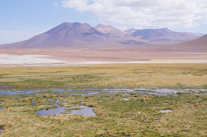 Atacama