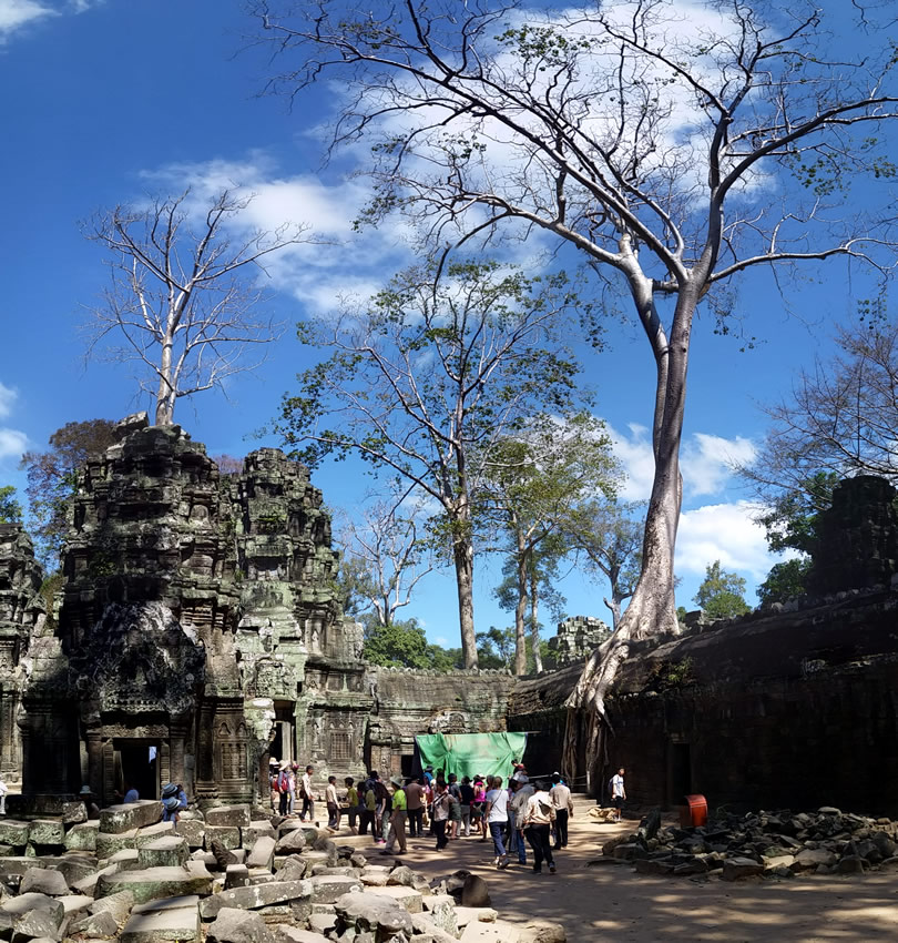 ta prohm