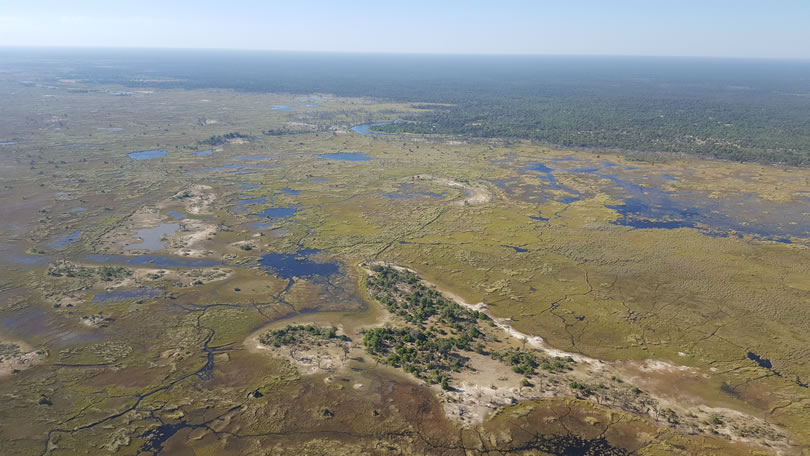 Delta do Okavango Botswana