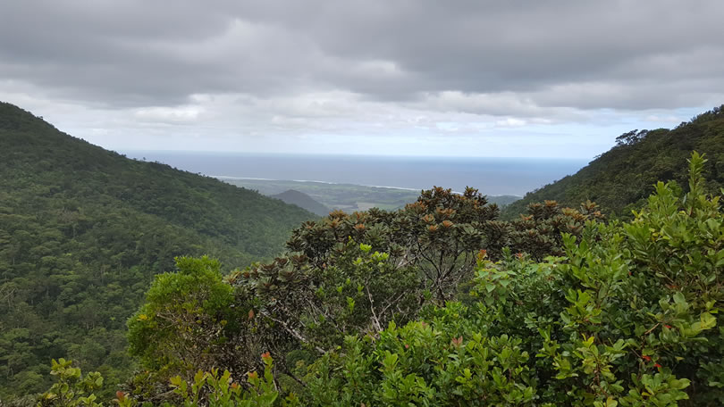 Black River National Park