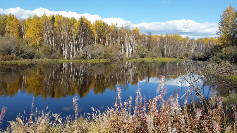 creamer`s field fairbanks